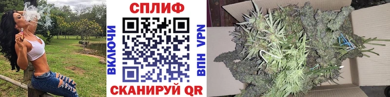МАРИХУАНА план Томилино